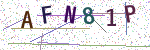 보안문자